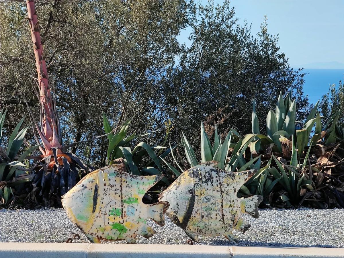 Campo Agave Luxury Tents Sayalonga Luaran gambar