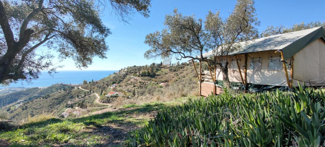 Campo Agave Luxury Tents Sayalonga Luaran gambar