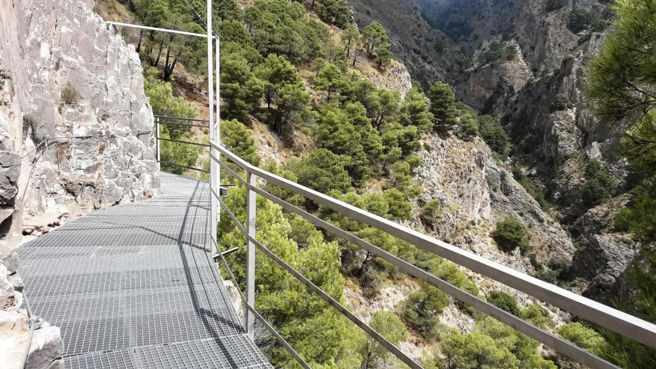 Campo Agave Luxury Tents Sayalonga Luaran gambar