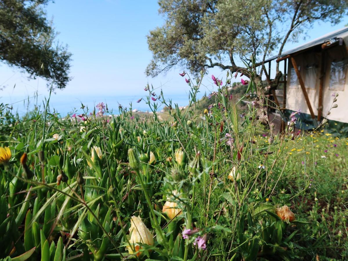 Campo Agave Luxury Tents Sayalonga Luaran gambar