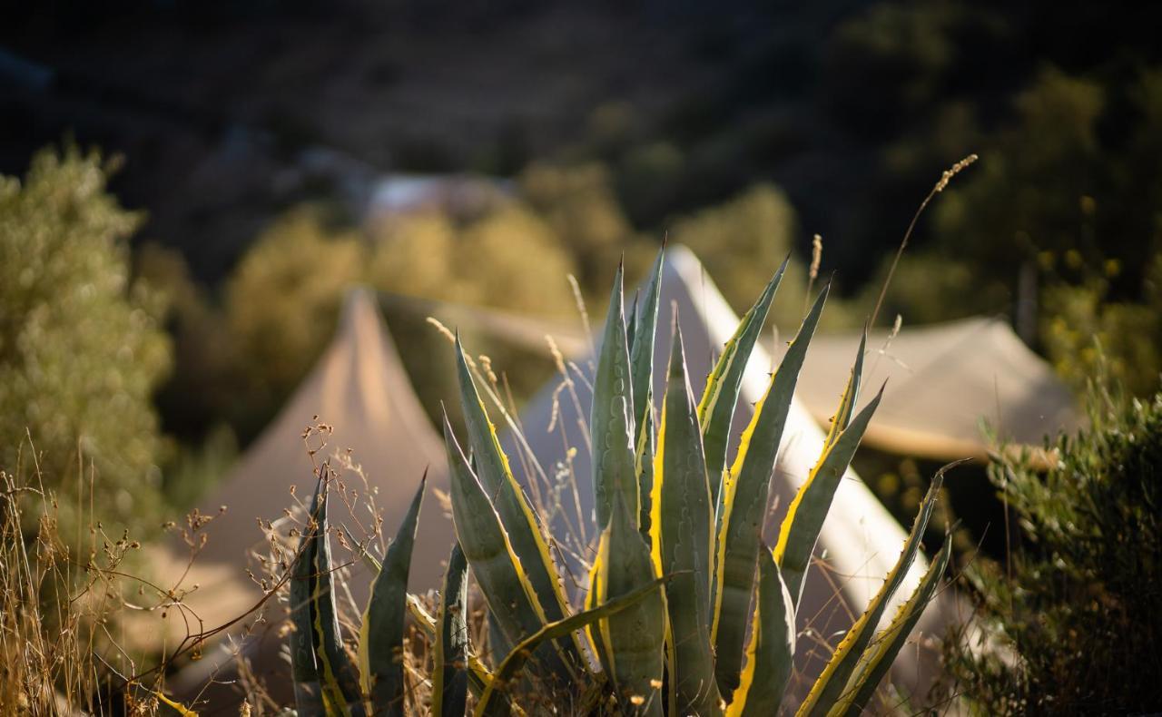 Campo Agave Luxury Tents Sayalonga Luaran gambar