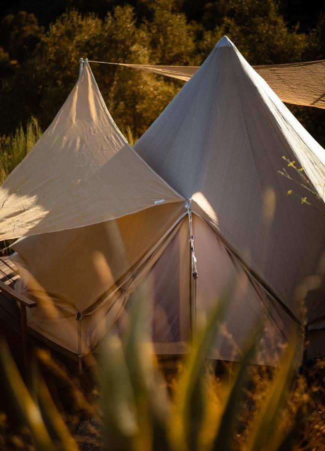 Campo Agave Luxury Tents Sayalonga Luaran gambar