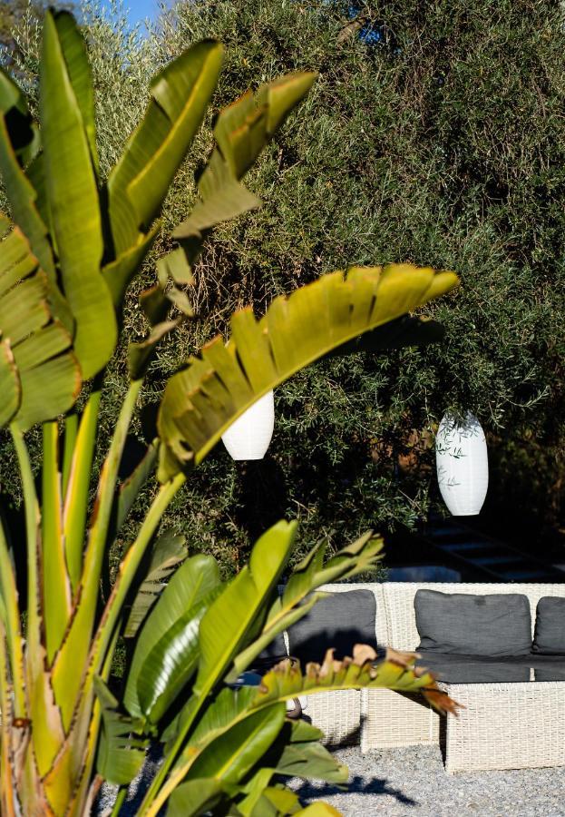 Campo Agave Luxury Tents Sayalonga Luaran gambar