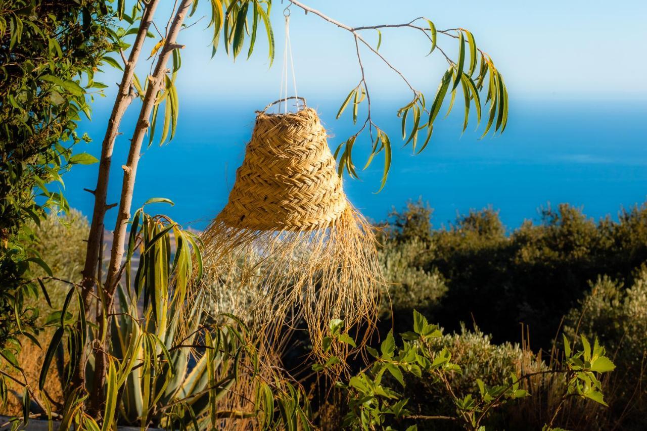 Campo Agave Luxury Tents Sayalonga Luaran gambar
