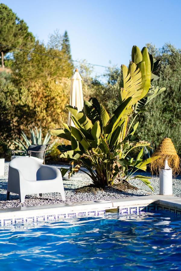 Campo Agave Luxury Tents Sayalonga Luaran gambar