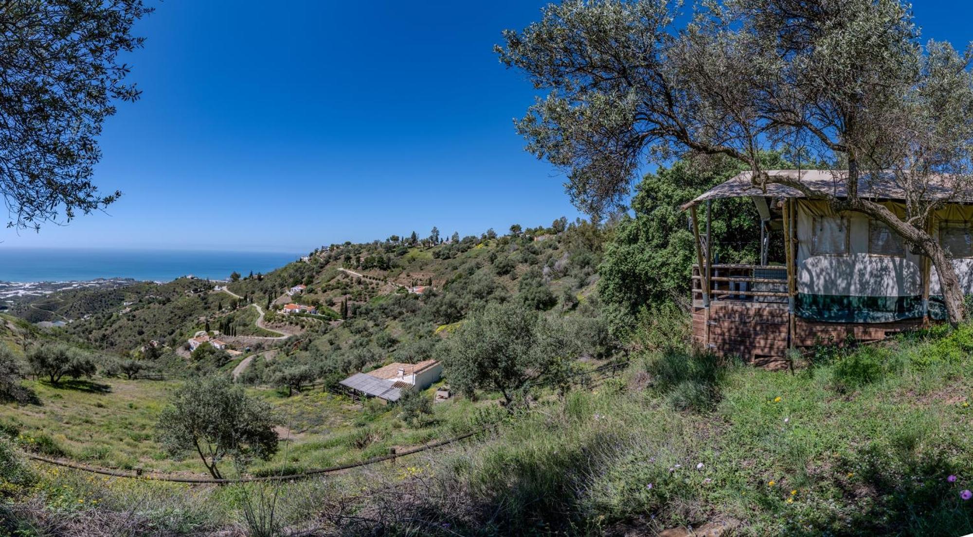 Campo Agave Luxury Tents Sayalonga Luaran gambar